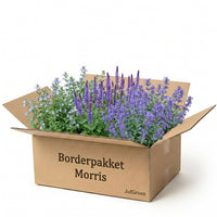 Verpakking — Balkonpakket Morris