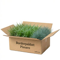 Verpakking — Balkonpakket Pissaro