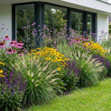 Borderpakket Poortvliet