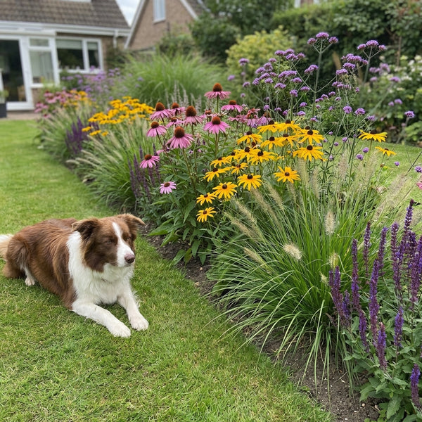 Borderpakket Poortvliet