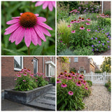 Borderpakket Poortvliet