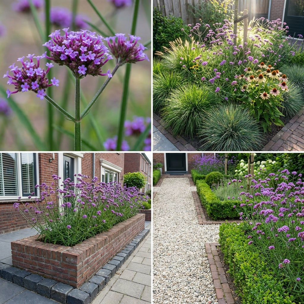 Borderpakket Poortvliet