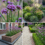 Borderpakket Poortvliet