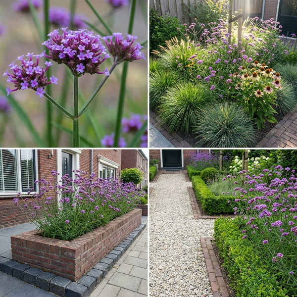 Borderpakket Poortvliet