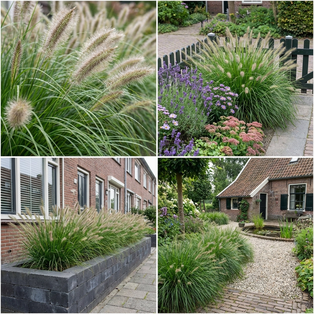 Borderpakket Poortvliet