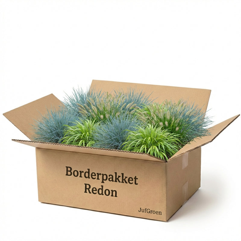 Balkonpakket Redon