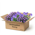 Borderpakket Toorop