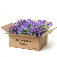 Verpakking — Borderpakket Toorop