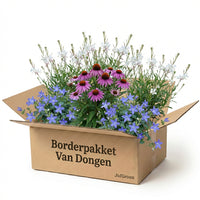 Verpakking — Gevelpakket Van Dongen | 3-planten pakket