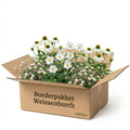 Gevelpakket Weissenburch | 3 planten pakket
