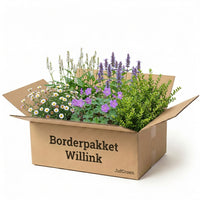 Verpakking — Borderpakket Willink