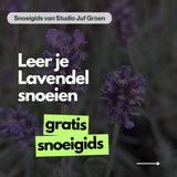 eBook - Lavendel snoeien als een pro