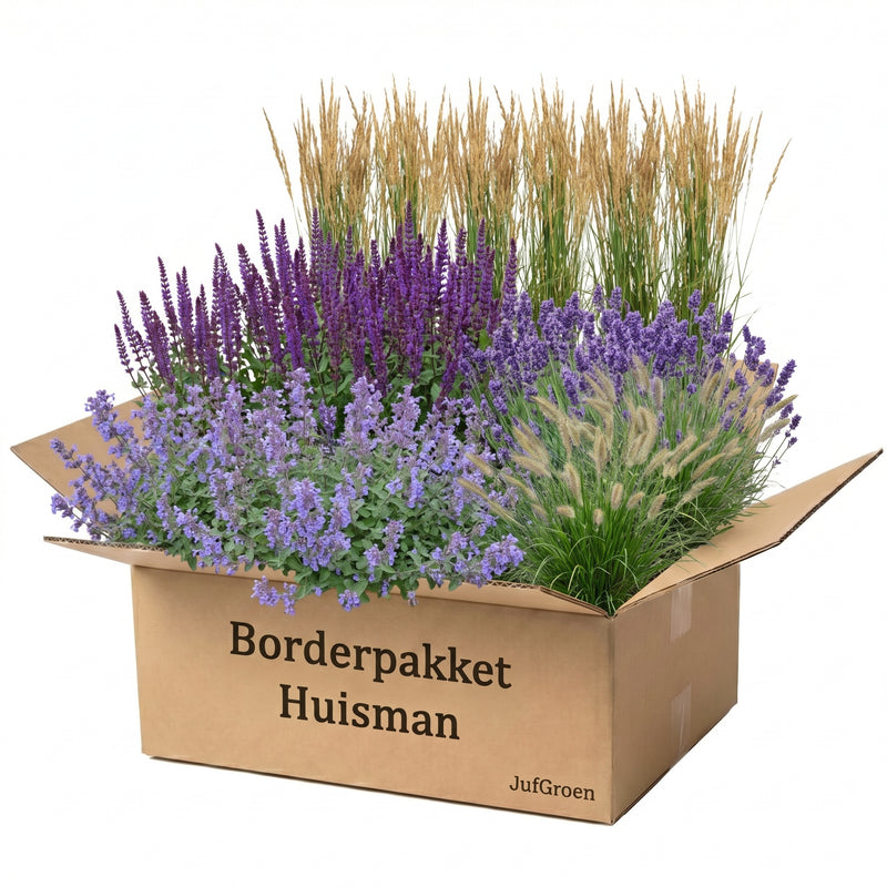 Borderpakket Huisman