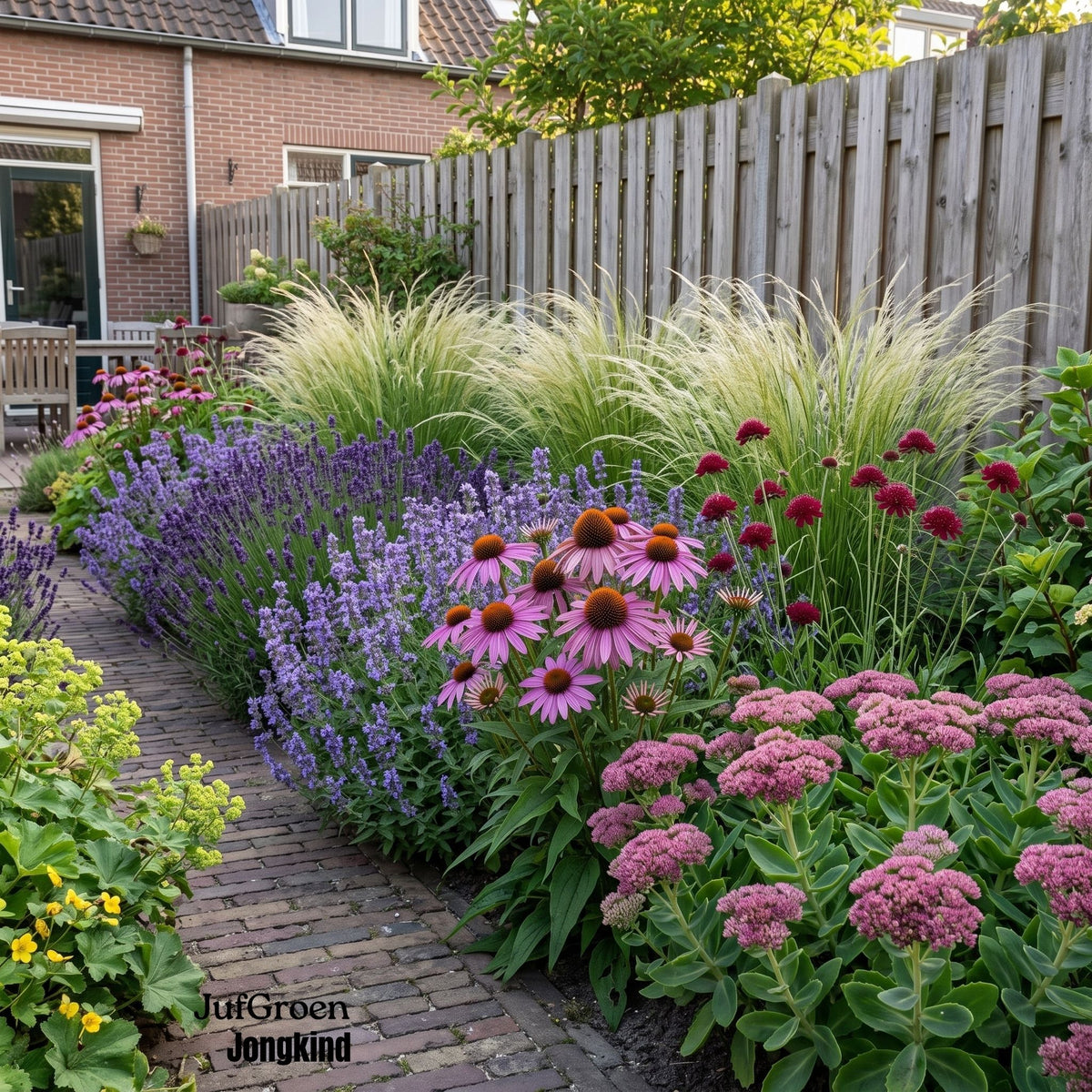 Borderpakket Jongkind
