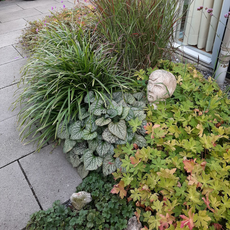 Niet alleen planten — een complete oplossing