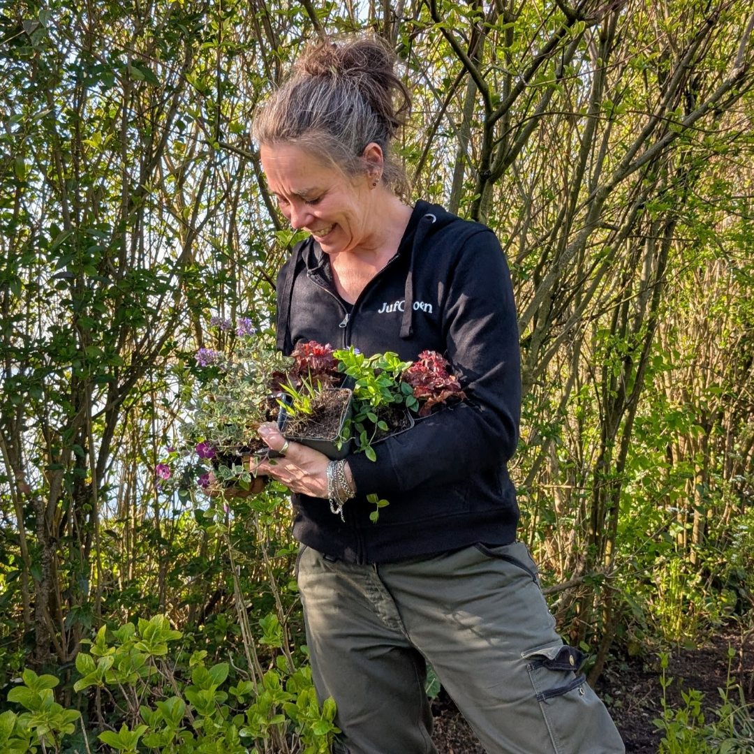 Een mooie tuin, zonder groene vingers