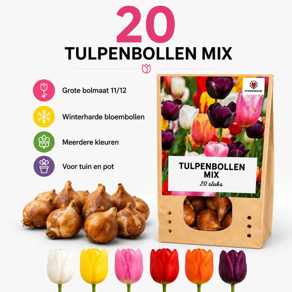 10 zakjes tulpenbollen Mix - 20 Stuks - Winterhard - Maat 11/12