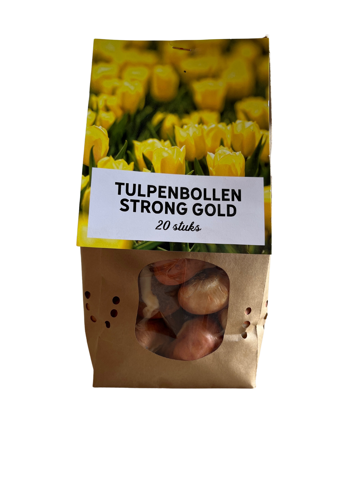 Strong Gold tulpenbollen – 20 stuks – maat 11/12