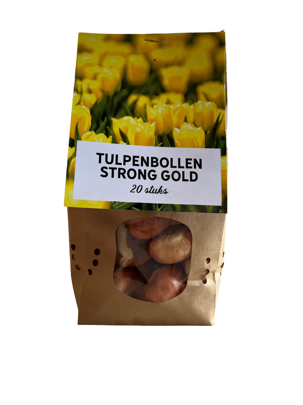 Strong Gold tulpenbollen – 20 stuks – maat 11/12
