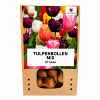 Verpakking — Tulpenbollen Mix - 20 Stuks - Winterhard - Maat 11/12