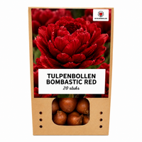Verpakking — Tulpenbollen Bombastic Red Rode Pioentulp – Dubbelbloemig