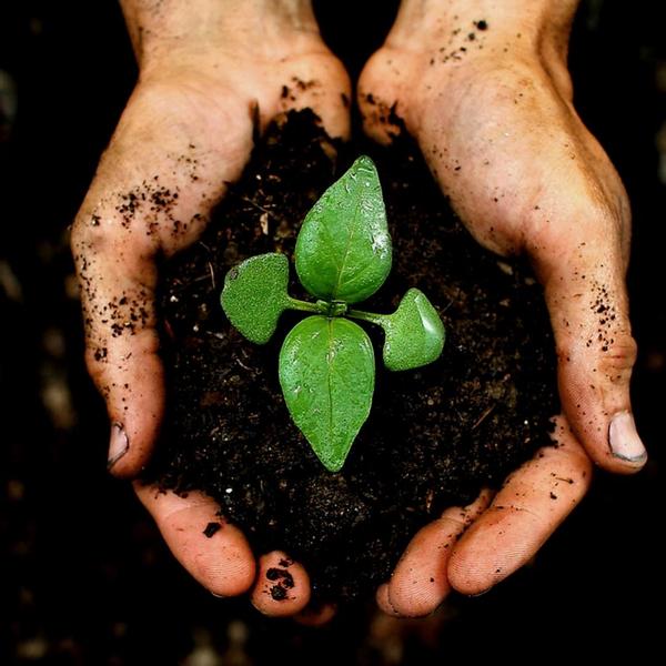 Culvita Biologische Veenvrije Potgrond 40L