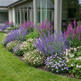 Borderpakket Kandinsky