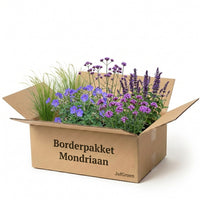 Verpakking — Borderpakket Mondriaan