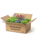 Borderpakket Verspronck