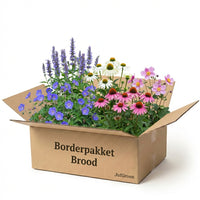 Verpakking — Borderpakket Brood