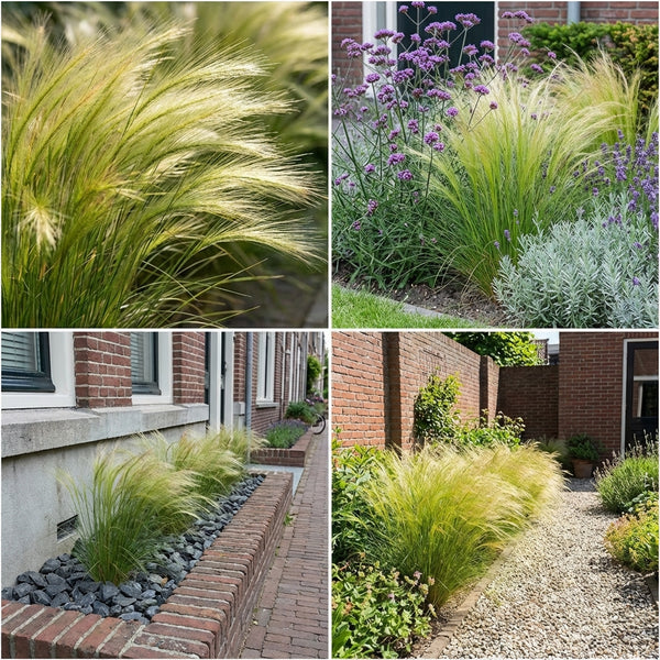 Borderpakket Mondriaan