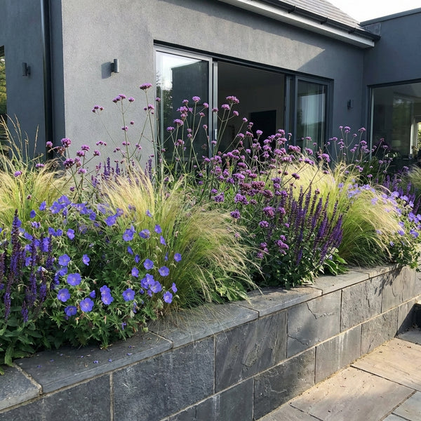 Borderpakket Mondriaan