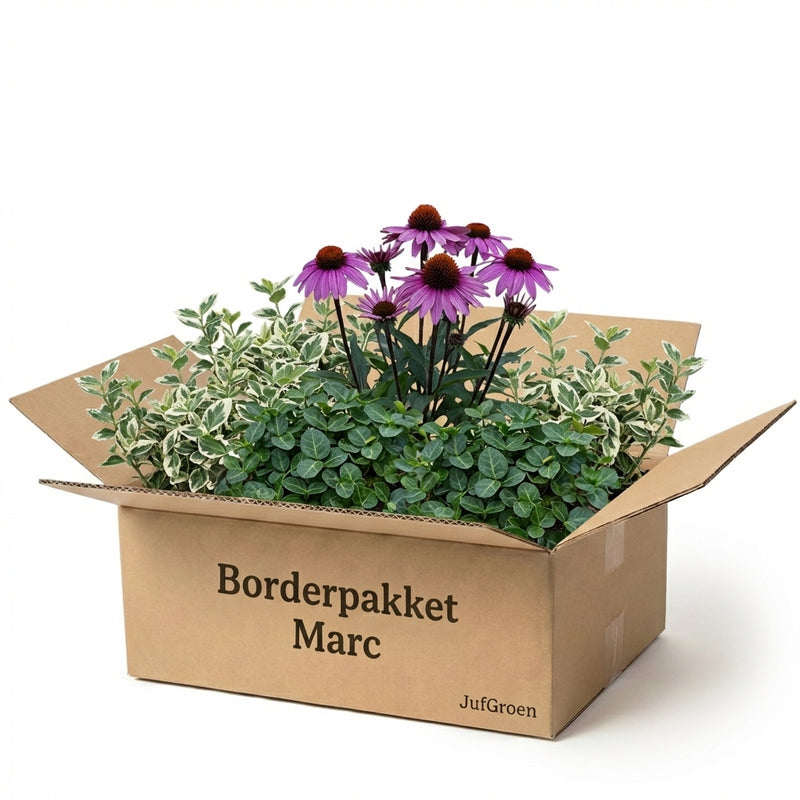 Balkonpakket Marc