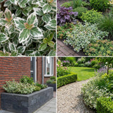 Borderpakket Vermeer