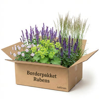 Verpakking — Borderpakket Rubens