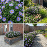 Borderpakket Kandinsky