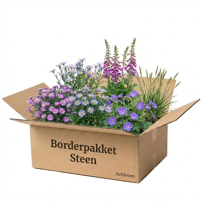 Borderpakket Steen