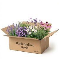 Verpakking — Borderpakket David