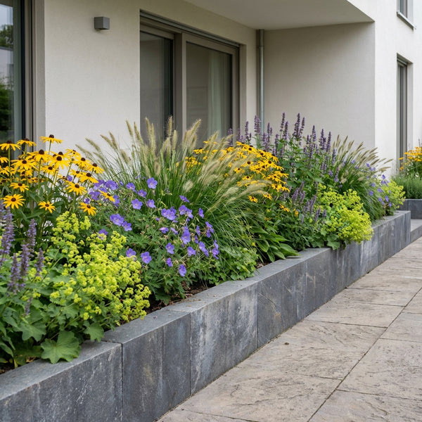 Borderpakket Van Gogh