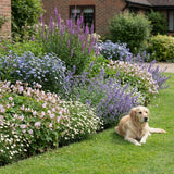 Borderpakket Kandinsky