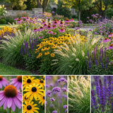 Borderpakket Rietveld