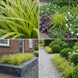 Borderpakket Vermeer