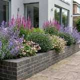 Borderpakket Kandinsky