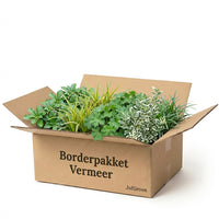 Verpakking — Borderpakket Vermeer