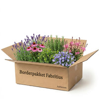 Verpakking — Borderpakket Fabritius