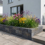 Borderpakket Rietveld