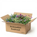 Borderpakket Rembrandt